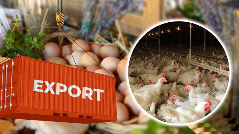 Income generating assets - export linked productive assets